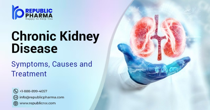 what are the first symptoms of kidney disease, what happen if you have kidney disease, how long can a person live with kidney disease, can damaged kidney be repaired, republic pharma, republic rxx, republic pharmaceutical, medicine, online pharmacy, mail-